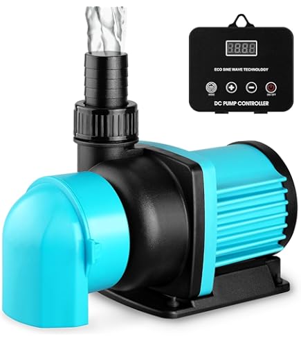 Amazon.com : CURRENT USA eFlux DC Flow Pump with Control